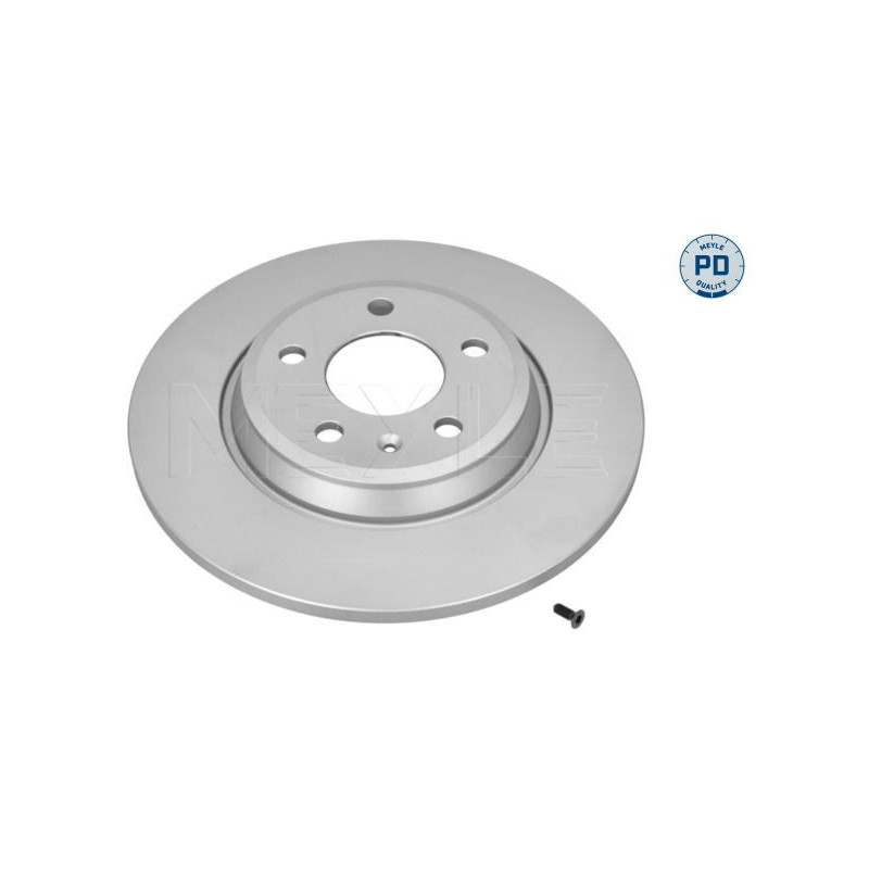 Disco freno asse posteriore - MEYLE