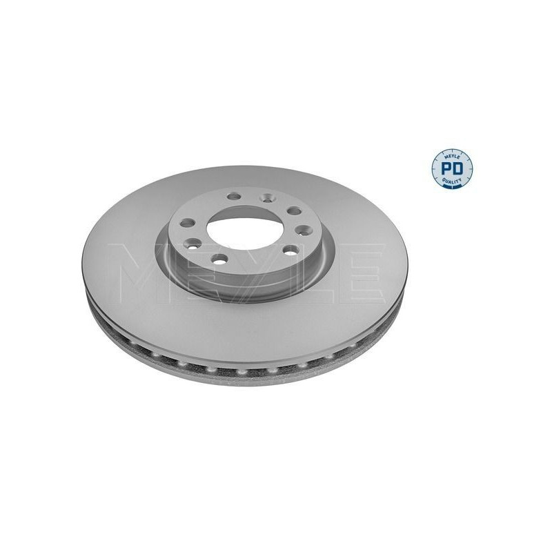 Disco freno asse anteriore - MEYLE