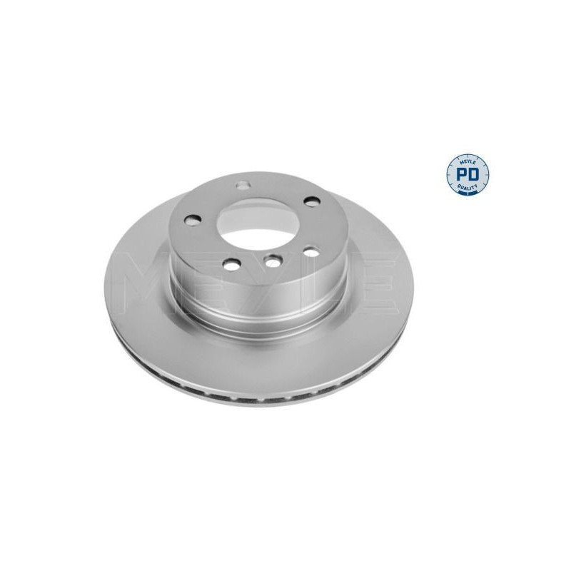 Disco freno asse posteriore - MEYLE