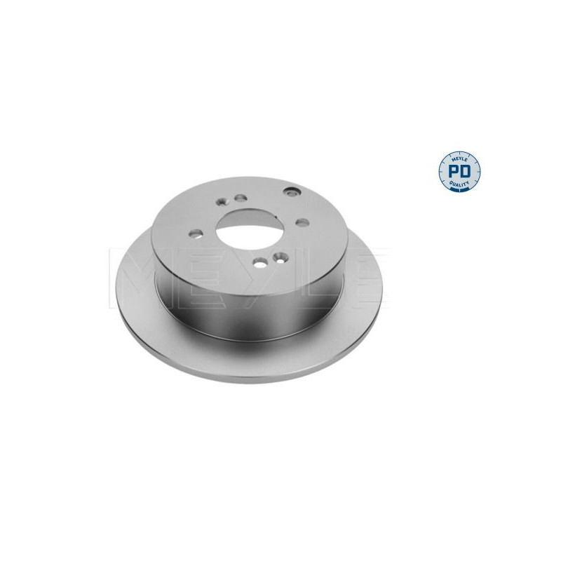 Disco freno asse posteriore - MEYLE