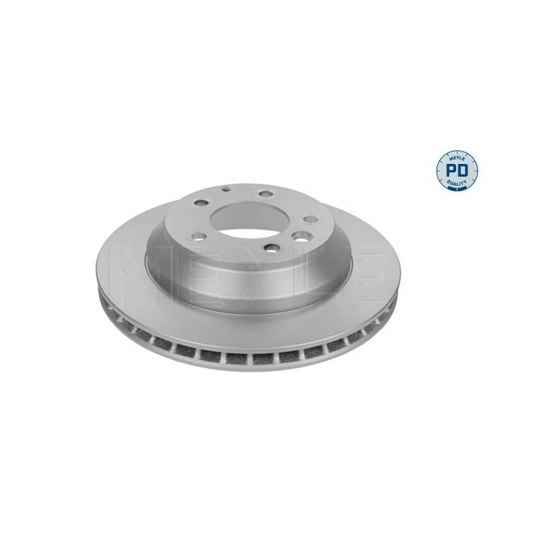 Disco freno asse posteriore - MEYLE
