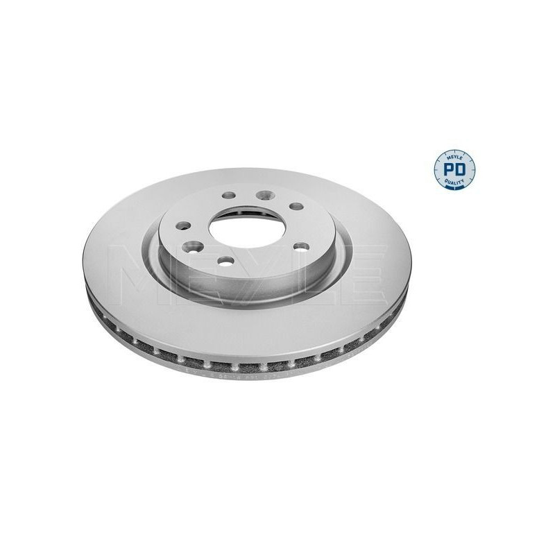 Disco freno asse anteriore - MEYLE