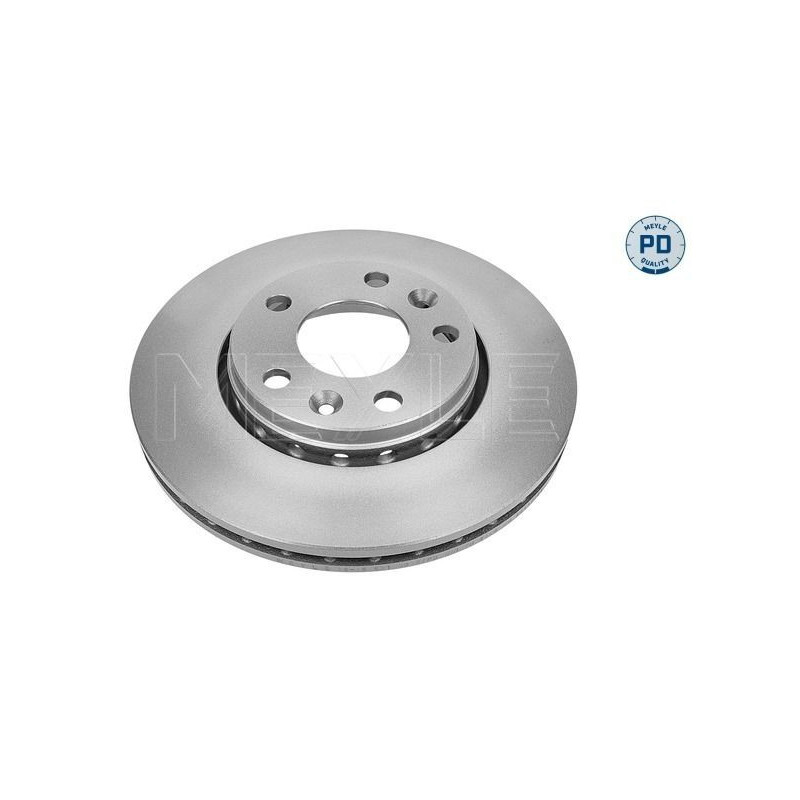 Disco freno asse anteriore - MEYLE