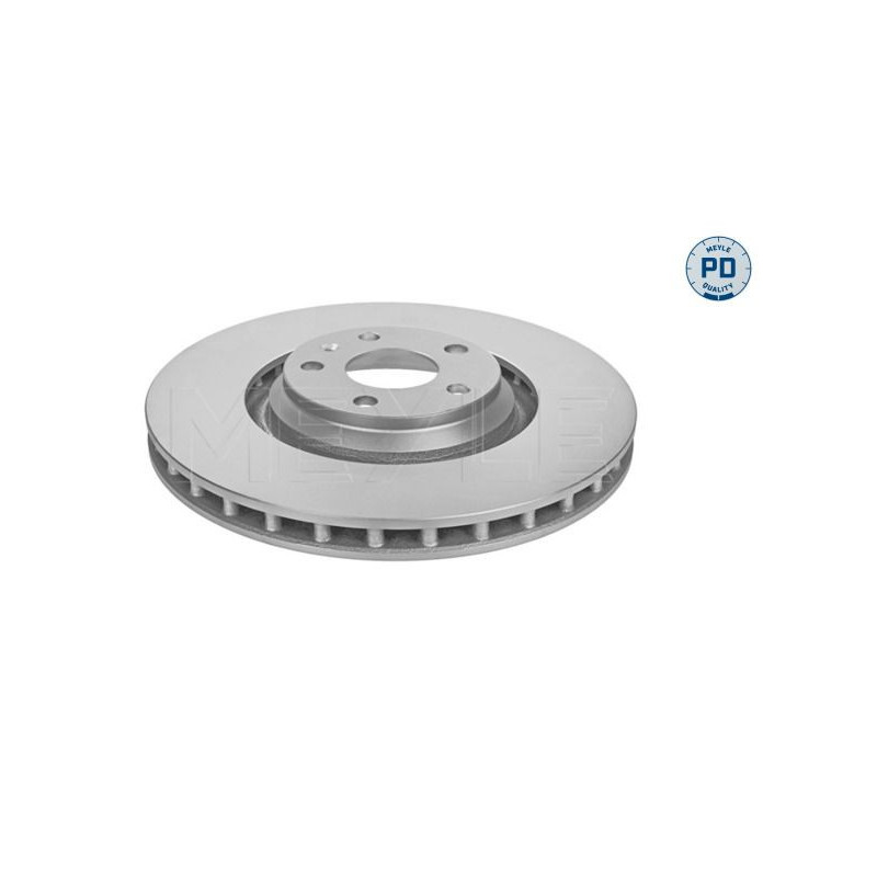 Disco freno asse anteriore - MEYLE