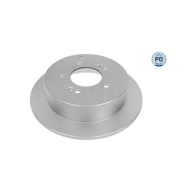 Disco freno asse posteriore - MEYLE