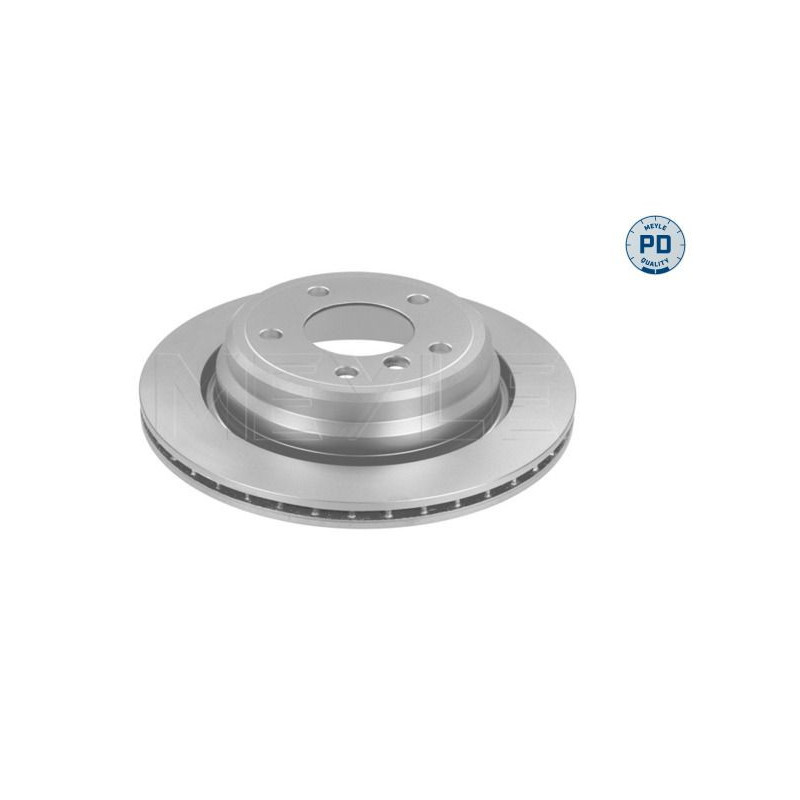 Disco freno asse posteriore - MEYLE
