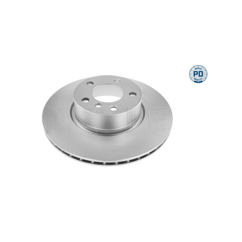 Disco freno asse posteriore - MEYLE