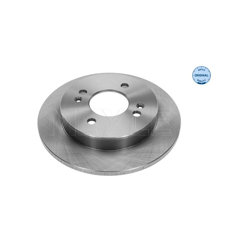 Disco freno asse posteriore - MEYLE