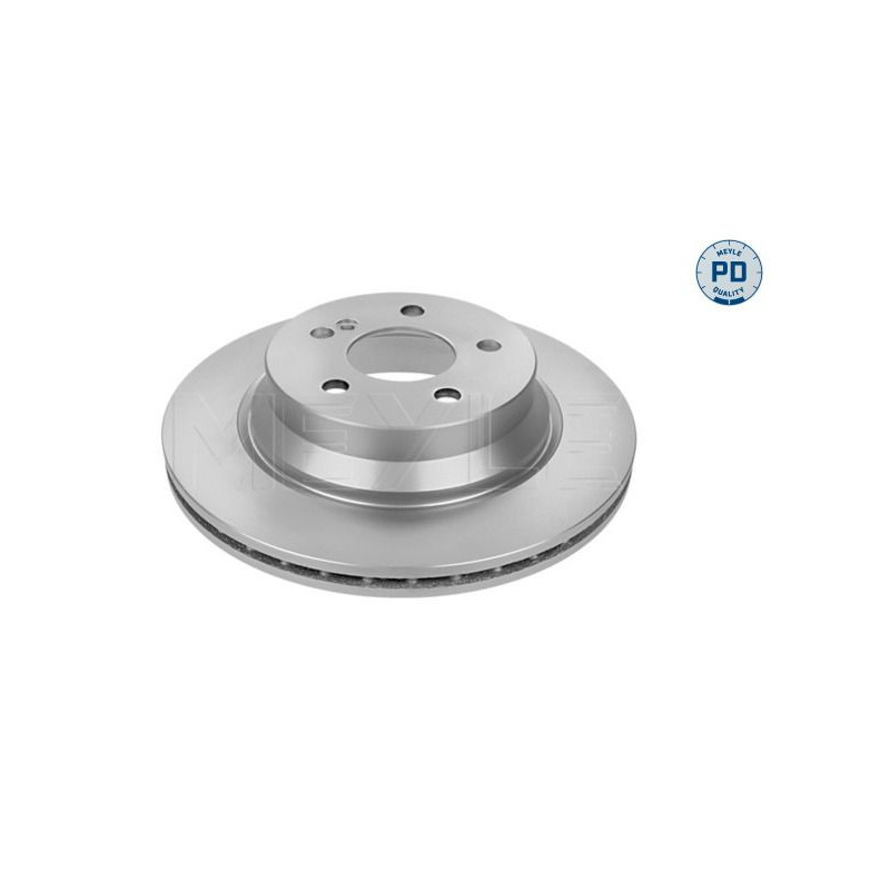 Disco freno asse posteriore - MEYLE