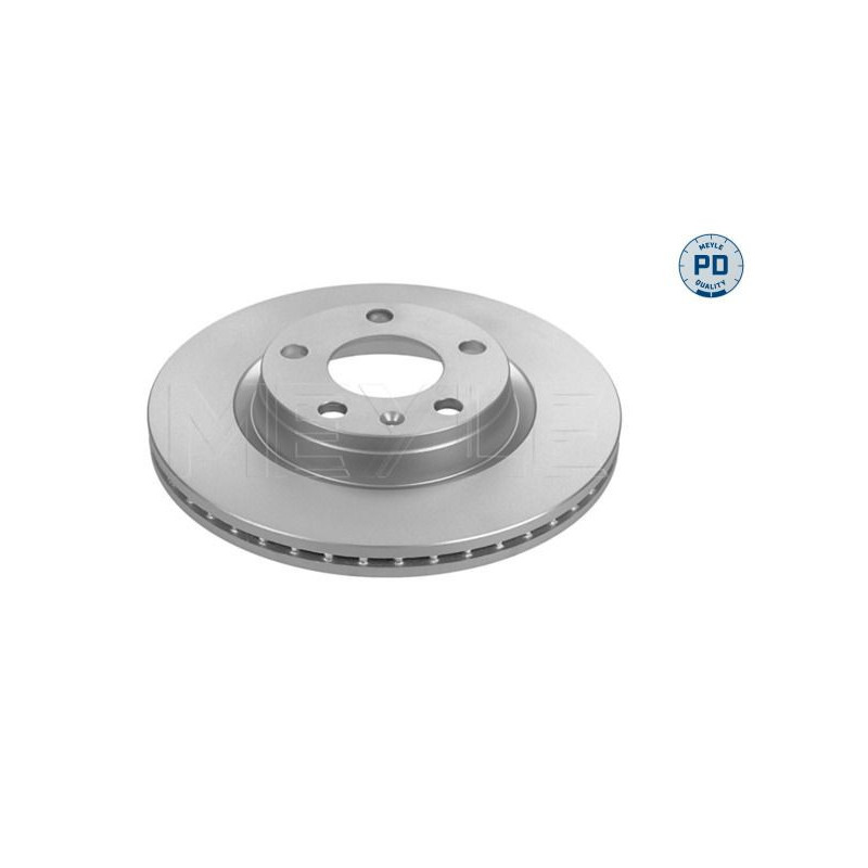 Disco freno asse anteriore - MEYLE