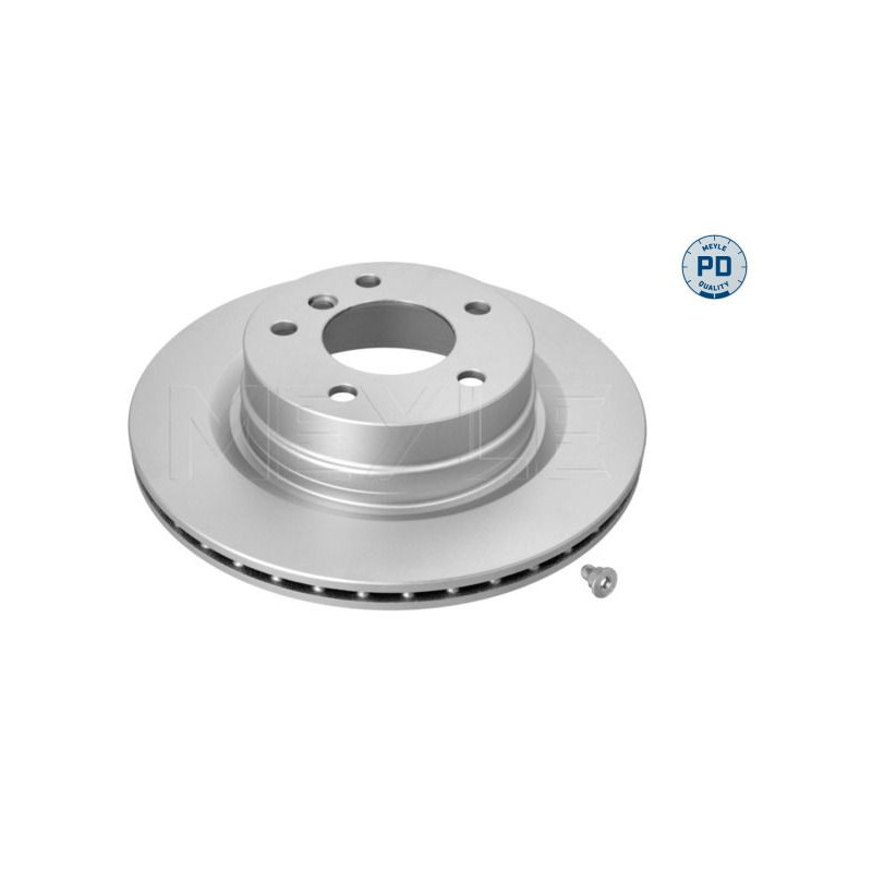 Disco freno asse posteriore - MEYLE