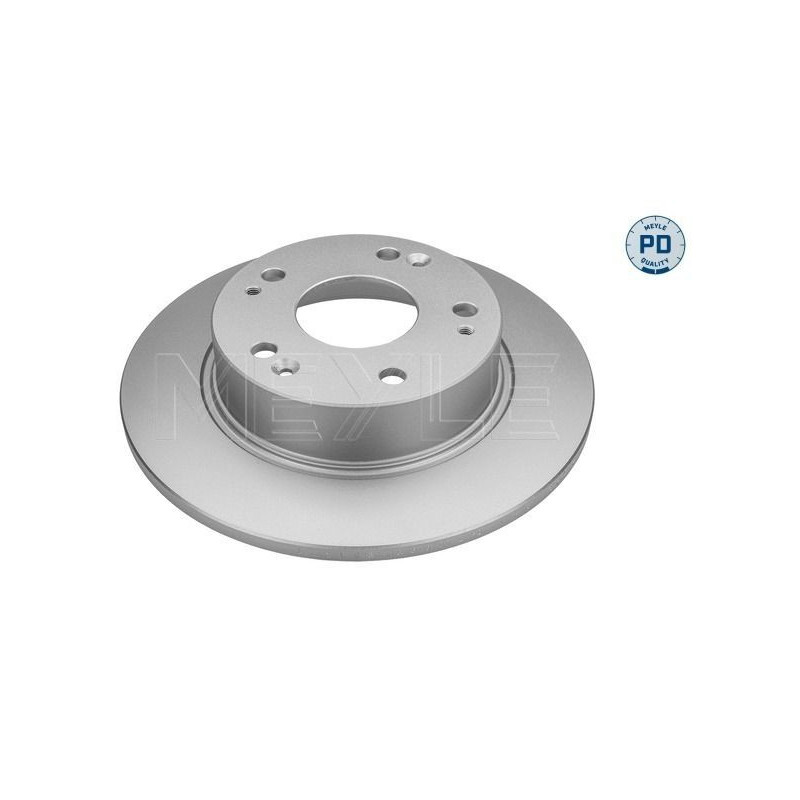 Disco freno asse posteriore - MEYLE
