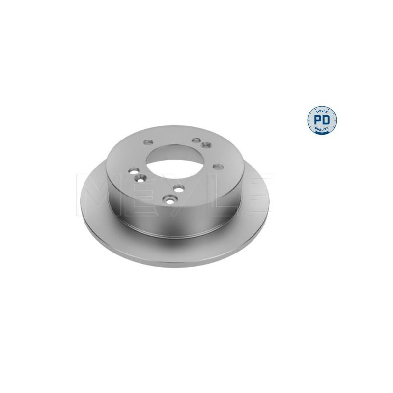 Disco freno asse posteriore - MEYLE
