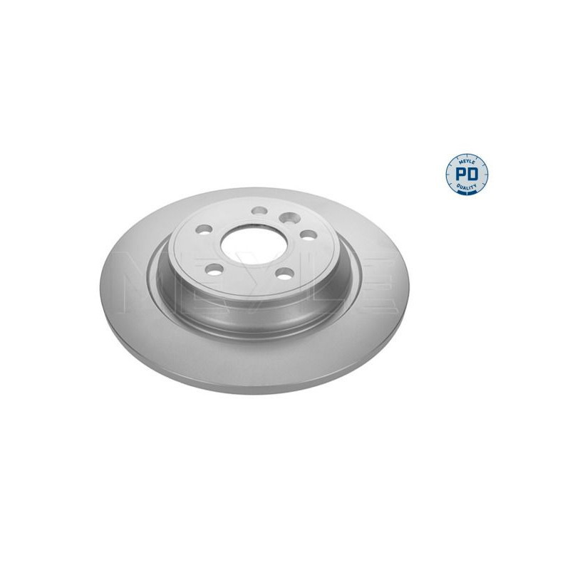 Disco freno asse posteriore - MEYLE