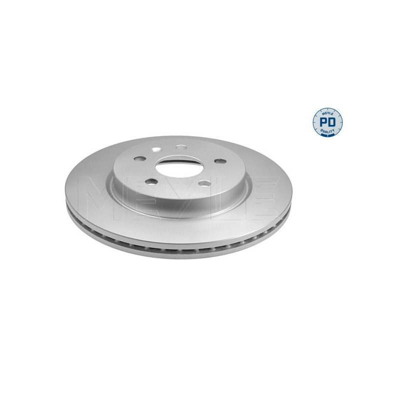Disco freno asse posteriore - MEYLE