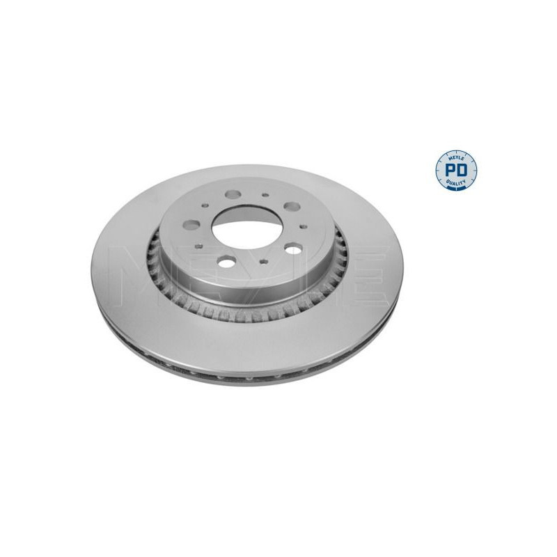 Disco freno asse posteriore - MEYLE