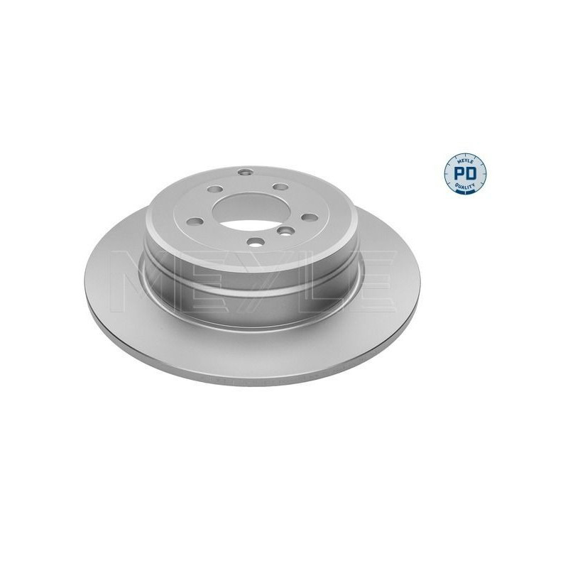 Disco freno asse posteriore - MEYLE