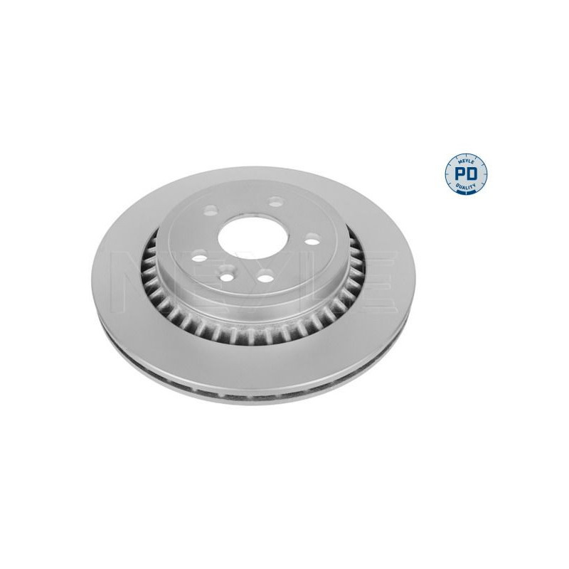 Disco freno asse posteriore - MEYLE