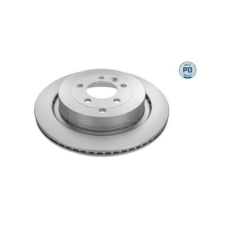 Disco freno asse posteriore - MEYLE