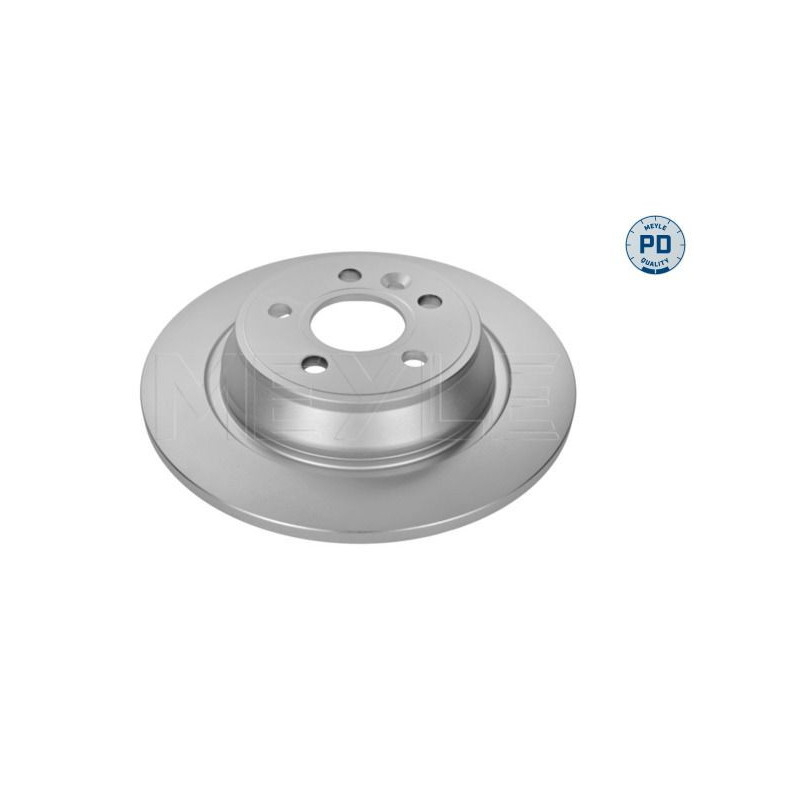 Disco freno asse posteriore - MEYLE
