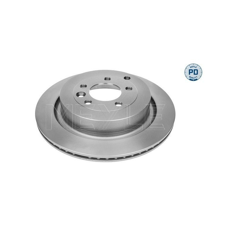 Disco freno asse posteriore - MEYLE