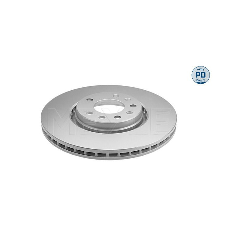 Disco freno asse anteriore - MEYLE
