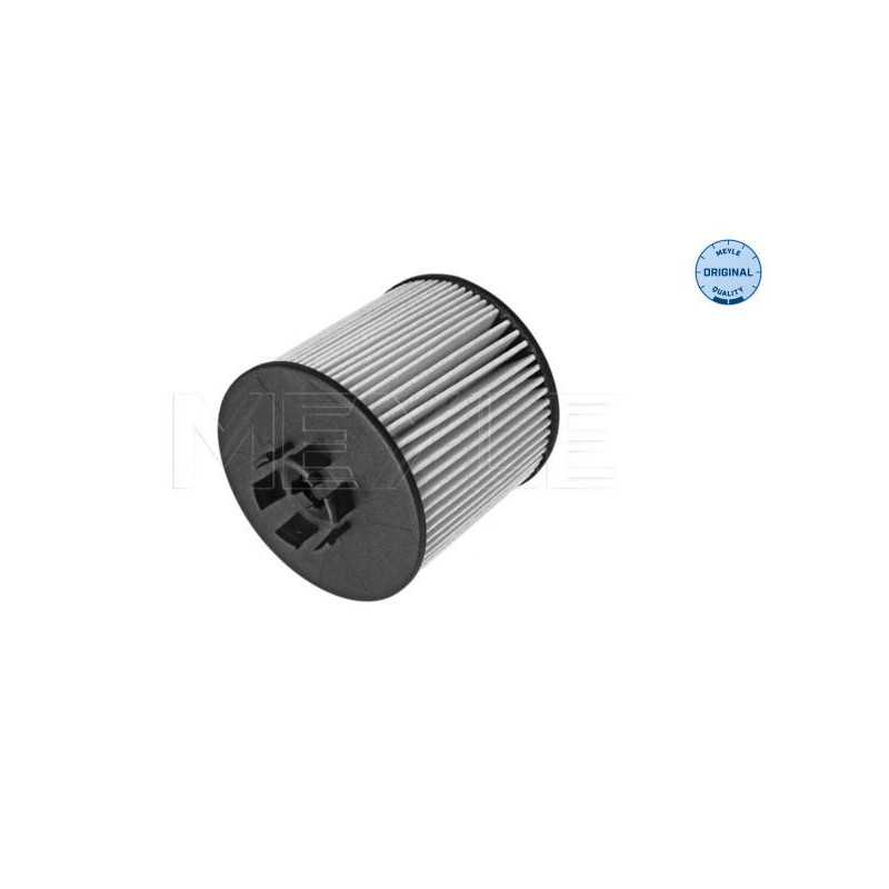Filtro olio - MEYLE