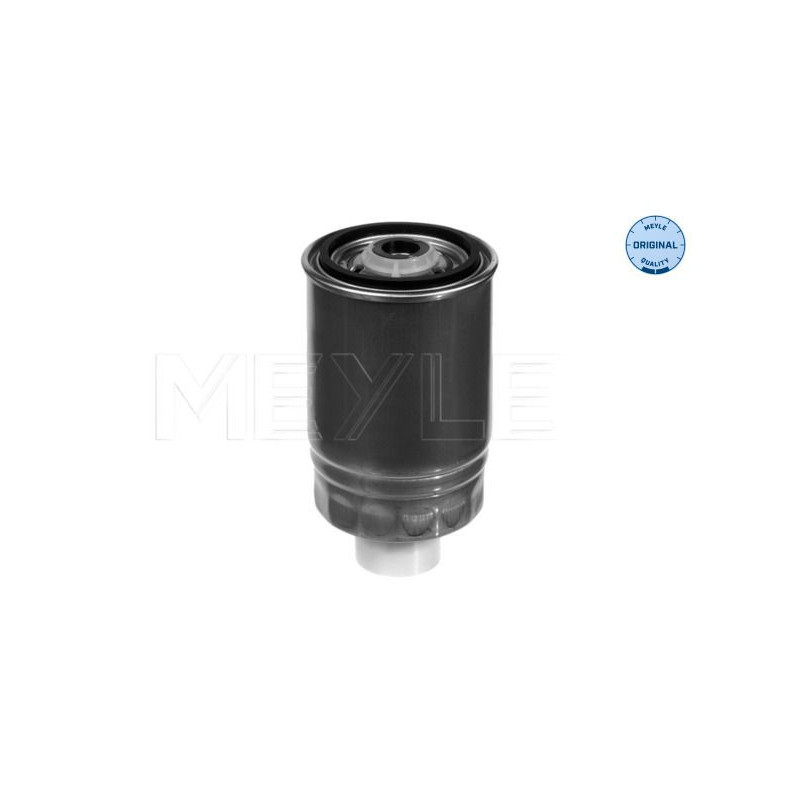 Filtro carburante - MEYLE