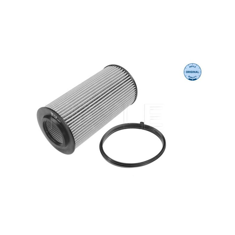 Filtro olio - MEYLE