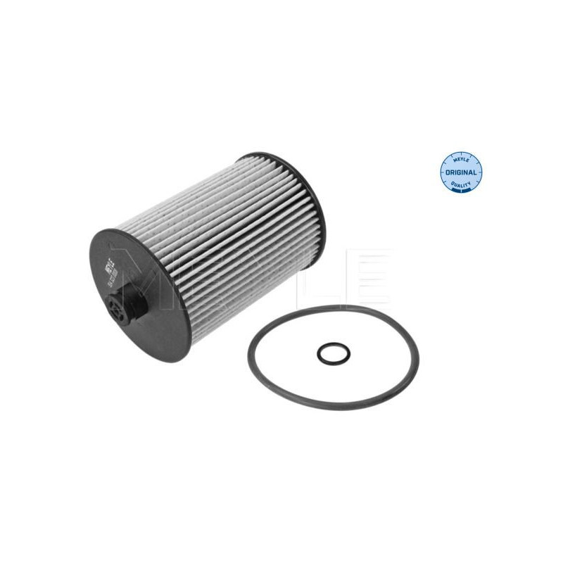 Filtro carburante - MEYLE