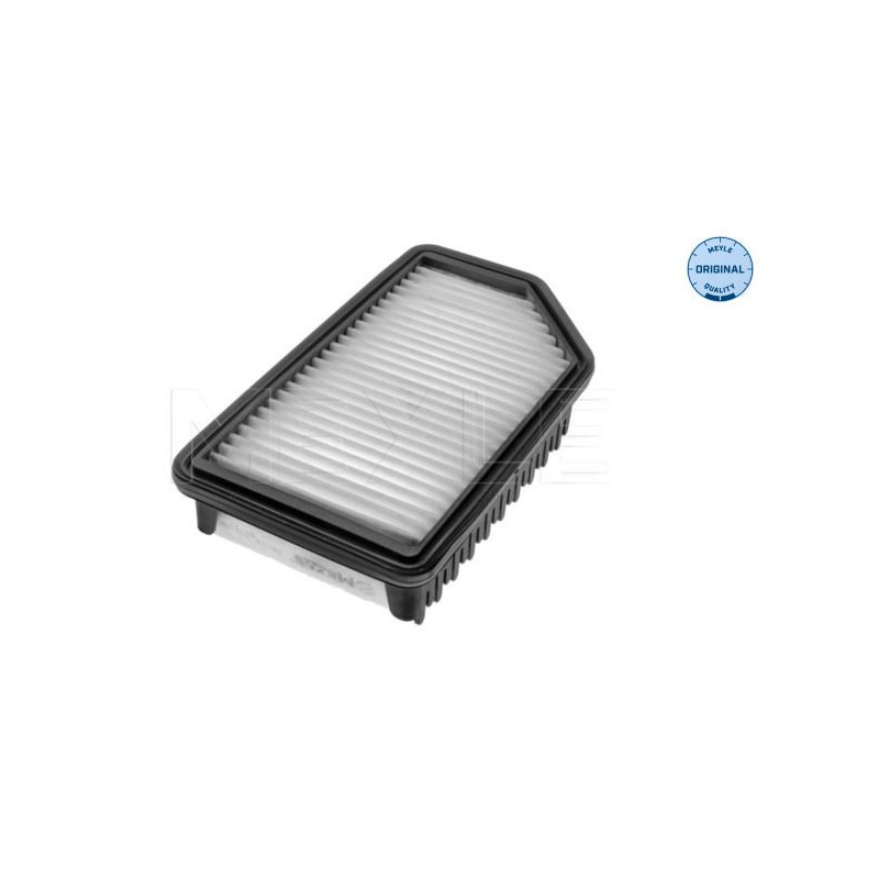 Filtro aria - MEYLE