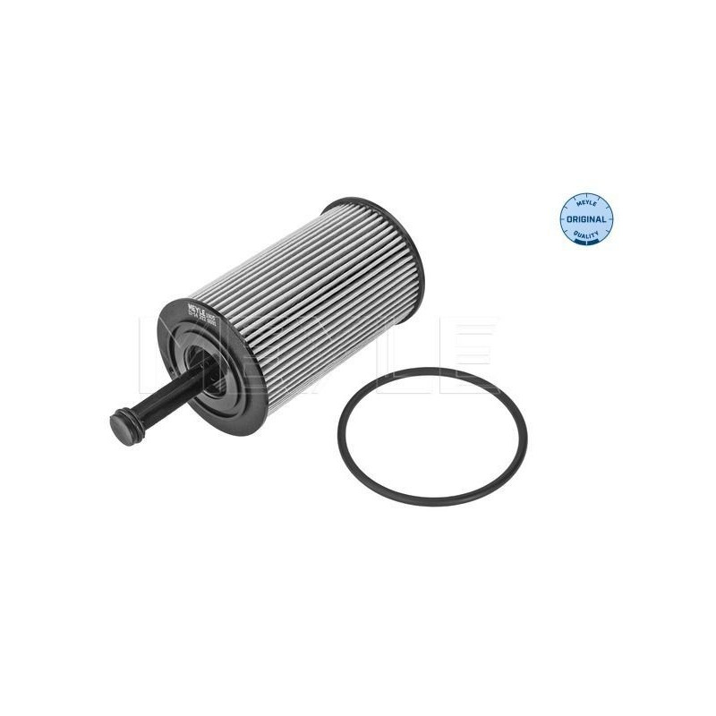 Filtro olio - MEYLE