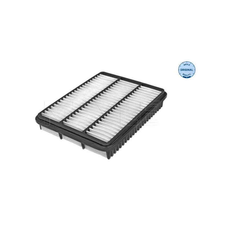 Filtro aria - MEYLE