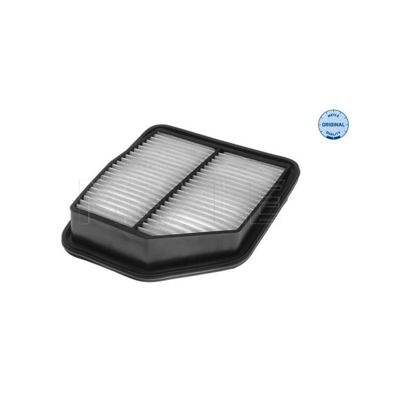Filtro aria - MEYLE