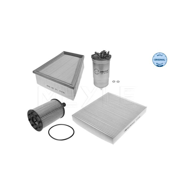 Filtro olio - MEYLE