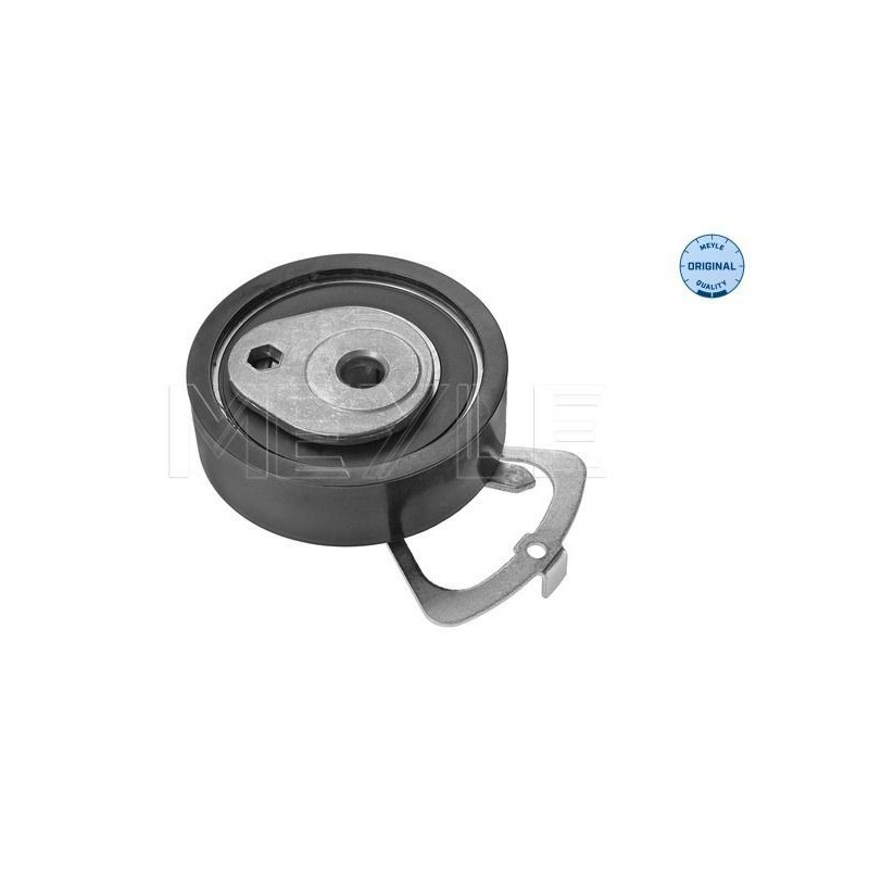 Tendicinghia distribuzione - MEYLE