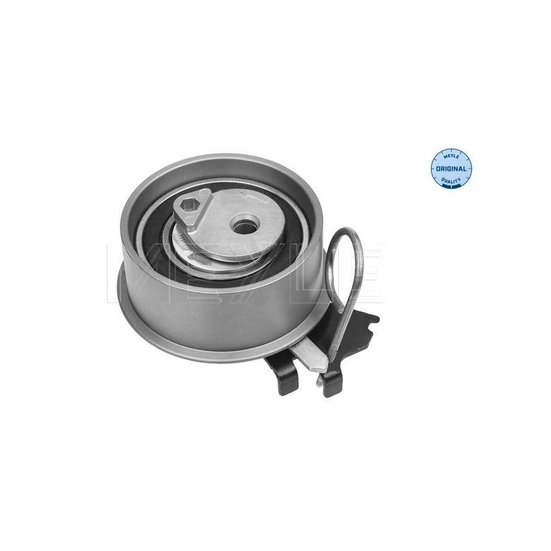 Tendicinghia distribuzione - MEYLE