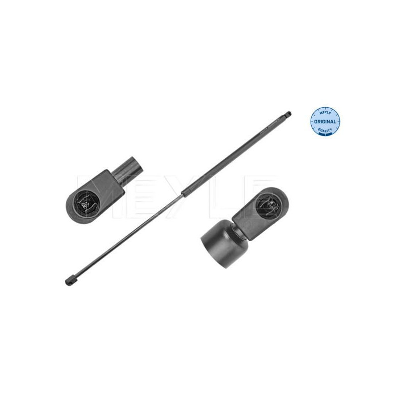 Filtro carburante - MEYLE