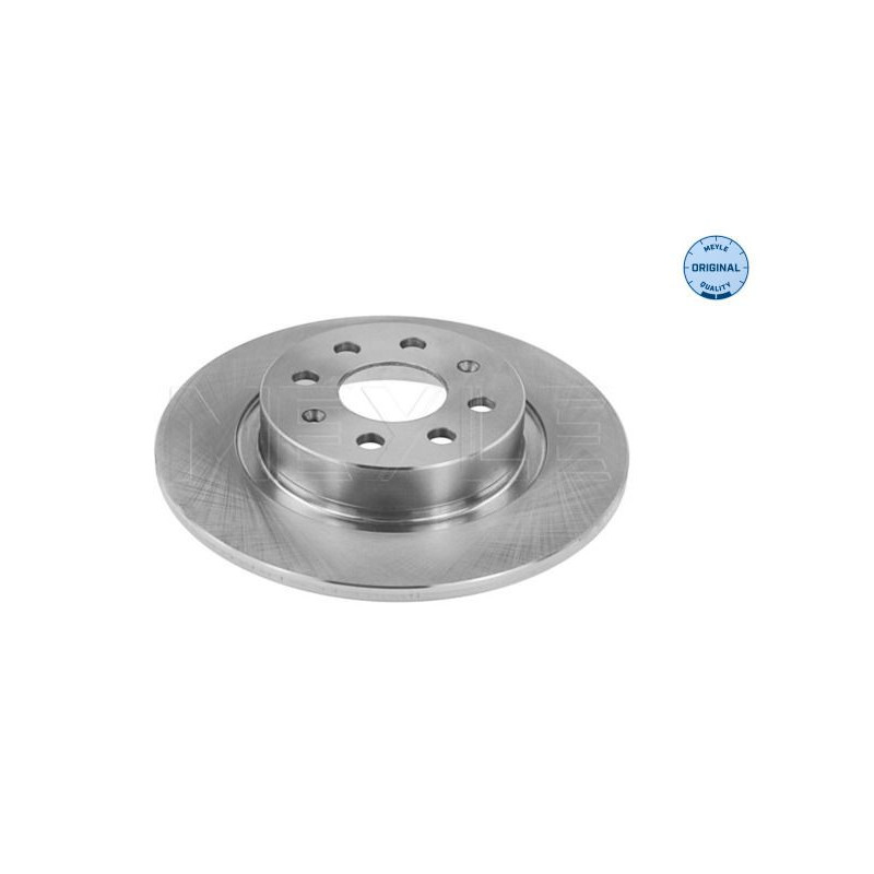 Disco freno asse posteriore - MEYLE