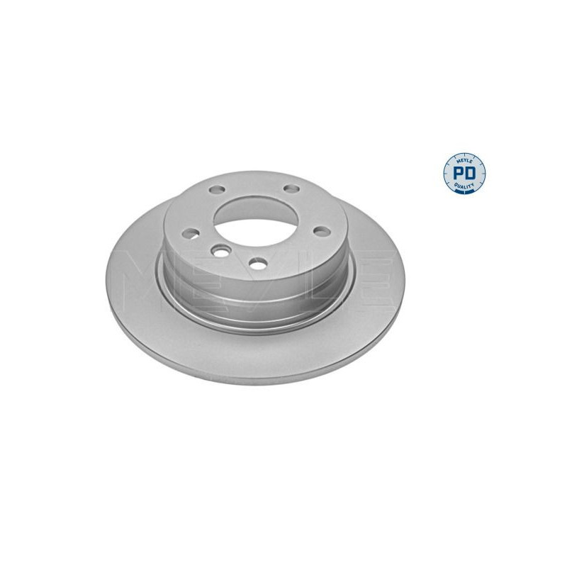 Disco freno asse posteriore - MEYLE