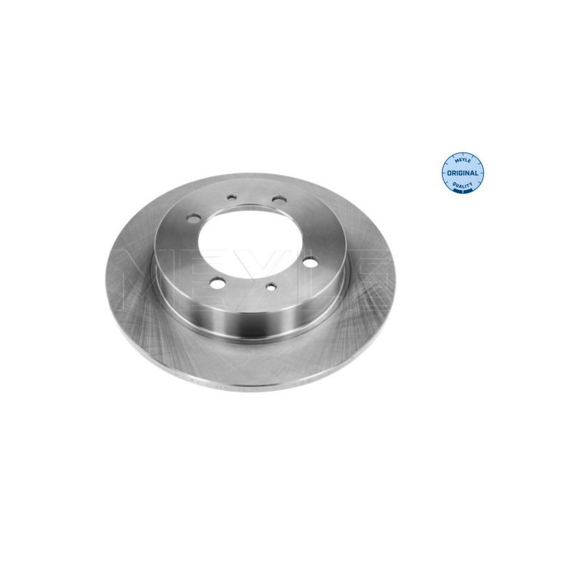 Disco freno asse posteriore - MEYLE