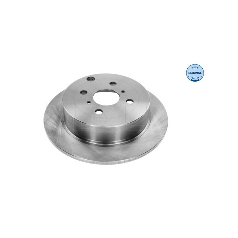 Disco freno asse posteriore - MEYLE