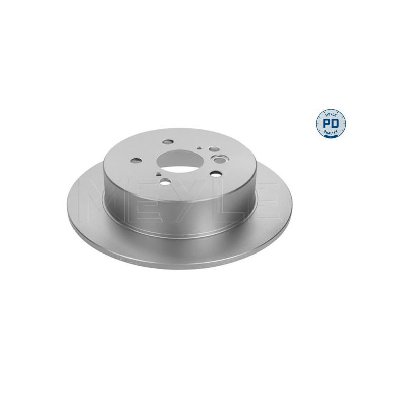 Disco freno asse posteriore - MEYLE