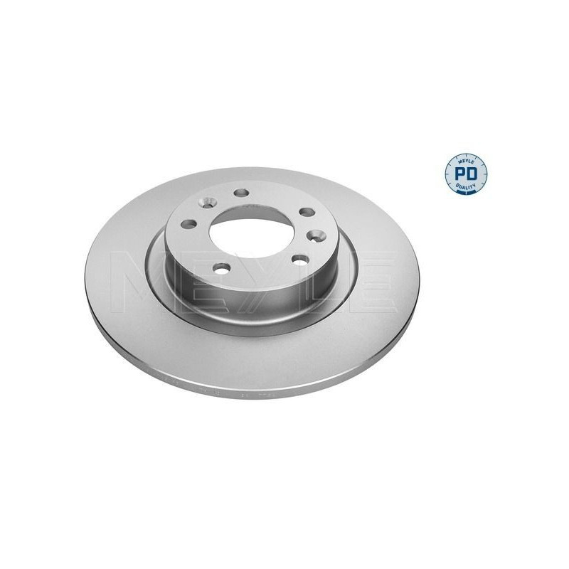 Disco freno asse posteriore - MEYLE