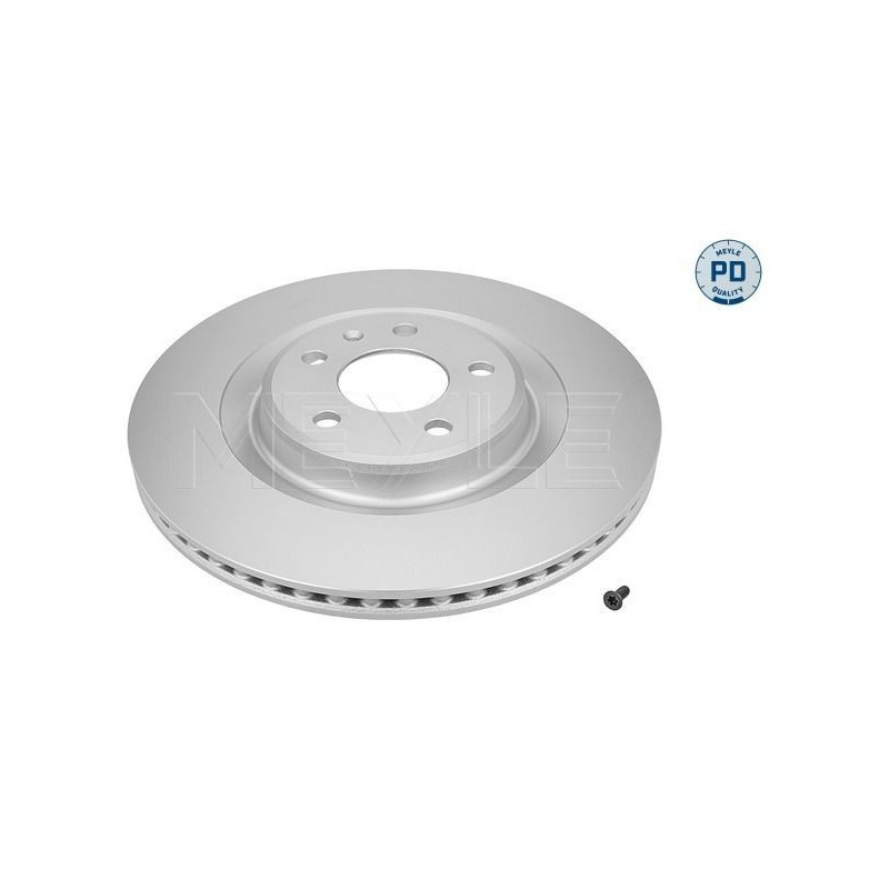 Disco freno asse posteriore - MEYLE