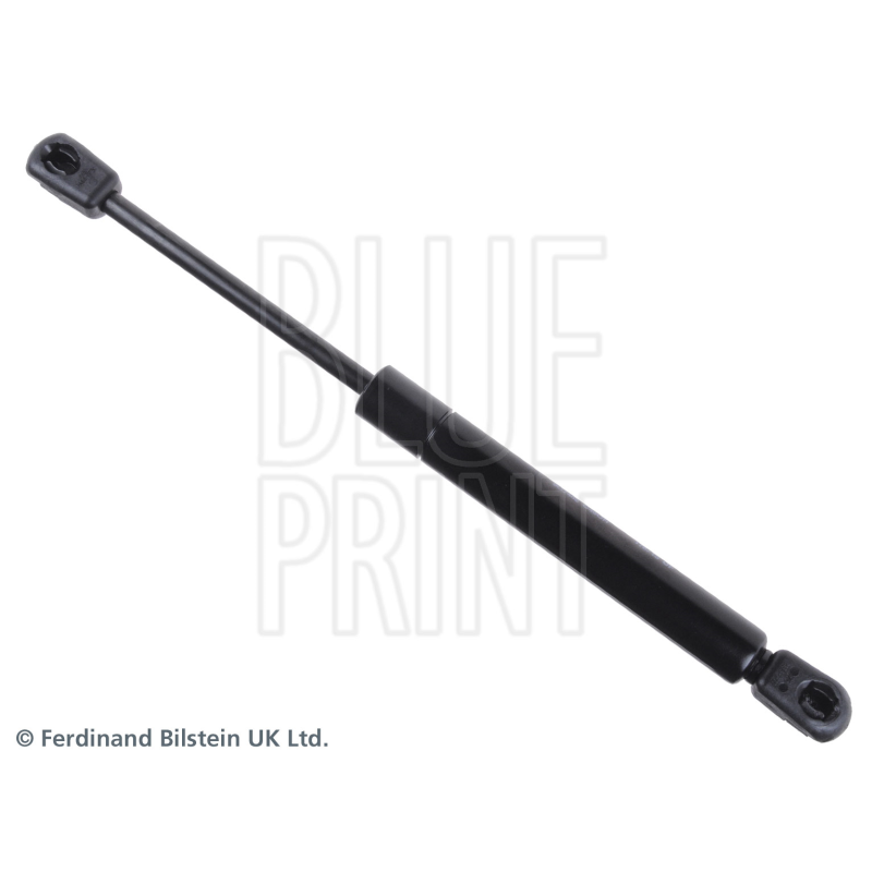 Pistoncino ammortizzatore - BLUE PRINT