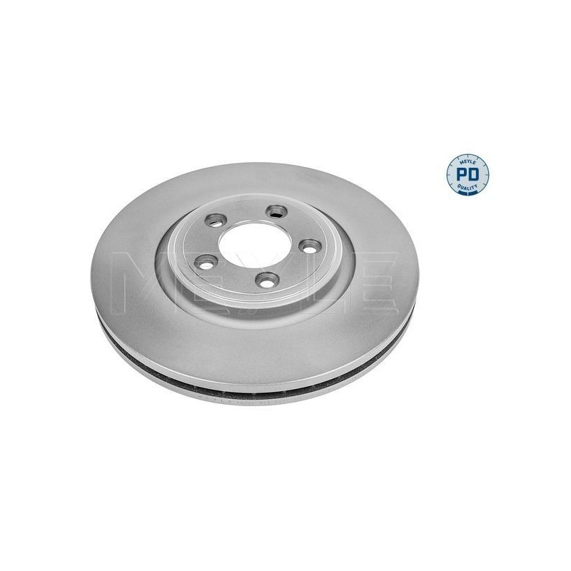 Disco freno asse anteriore - MEYLE