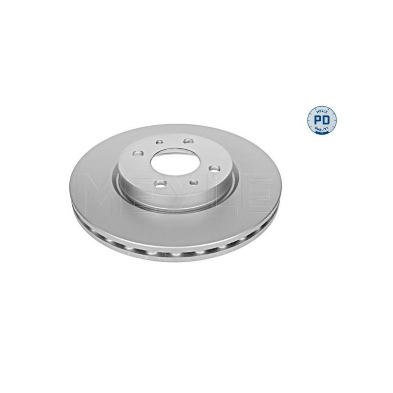 Disco freno asse anteriore - MEYLE