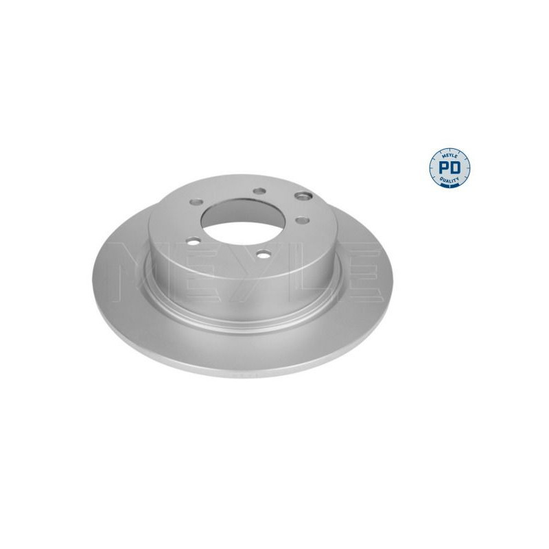 Disco freno asse posteriore - MEYLE