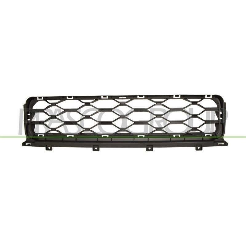 Griglia radiatore - PRASCO